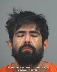 Pinal County Sheriff's log, 06/11/24