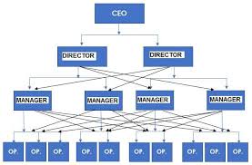 Organizational Chart Of A Small Company Www