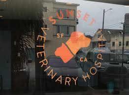 Check spelling or type a new query. Sunset Veterinary Hospital A Full Service Veterinary Hospital