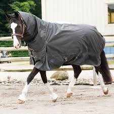 Amazon Com Country Pride Olympia Heavyweight Horse Blanket