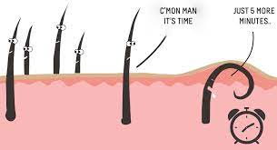 ﻿ ﻿ soft, moisturized skin is pliable. How To Prevent Ingrown Hairs 5 Clever Ways To Make Sure They Never Return