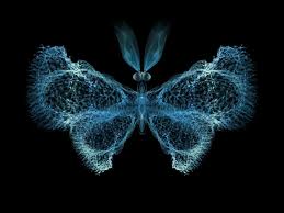 immune system found to tap into chaos theory to regulate itself chaos theory theories chaos