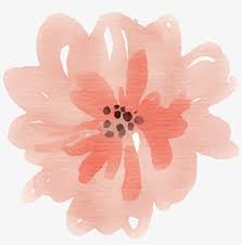 We did not find results for: Free Watercolor Flower Images Peach Delight Watercolor Peach Floral Png Png Image Transparent Png Free Download On Seekpng