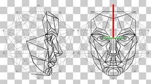 Eyebrow Golden Ratio Face Png Clipart Angle Art Cheek Drawing Ear Free Png Download Find & download free graphic resources for golden ratio. eyebrow golden ratio face png clipart
