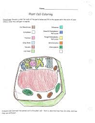 Plant cell parts 7th grade. 7th Grade Mr Sullivan
