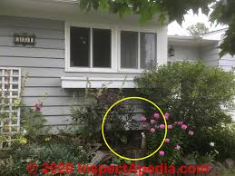 With door that opens so meter reader can read the meter. Guide To Side Wall Vent Chimneys Flues Direct Venting Heating Appliance Chimneys Flues