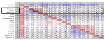 Figure A 3 Pair Wise Comparison Chart Of D1 Psba Amino