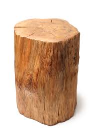 Image result for log