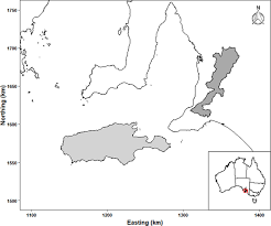 July 19, 2021 — 7.19pm Chlamydia Pecorum Prevalence In South Australian Koala Phascolarctos Cinereus Populations Identification And Modelling Of A Population Free From Infection Scientific Reports
