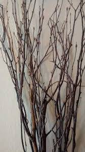 Birch Branches For Sale Birch Tree Branches 10 Individual Branches 3 4 Etsy Tree Branch Decor Birch Branches Tree Branch Decor Diy