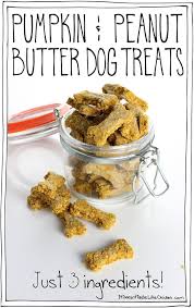 Why make homemade dog treats? Pumpkin Peanut Butter Dog Treats Just 3 Ingredients It Doesn T Taste Like Chicken
