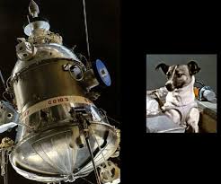 From wikimedia commons, the free media repository. Sputnik 2