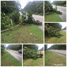 Tanah runtuh, pokok tumbang di tapah. Selia Selenggara Selatan Mersing On Twitter Kerja Membersihkan Pokok Tumbang Yang Menghalang Laluan Di Ft003 Sec 140 5 Jln Johor Bahru Kuantan Bagi Daerah Mersing Jkrmersing Jkrjohor Csfj Jkr Https T Co R9o9faowv0