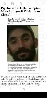 Actor Jason Lewis is trying to shoot the cats that lost their home. A woman  is trying to gain their trust to trap them and get them in a new home. Real