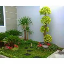 Banyak sekali desain taman halaman depan rumah yang dapat menjadi referensi bagi kita. Dekorasi Taman Hias Halaman Rumah Minimalis Shopee Indonesia