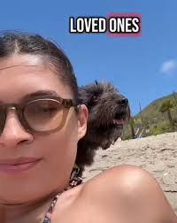 Fundraiser for Alysa Conger by Tamara Conger : Emergency Vet Care for Leon  After Being Attacked