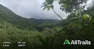 Waimalu Ditch Trail, Oahu, Hawaii