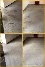 Pet Stains Are A Part Of Life Remove Pet Stains Pet Stains Tile Stained