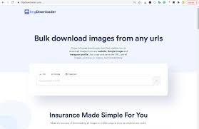 We've all heard the saying that a picture is worth a thousand words. this is absolutely true when it co. How To Download All Images At Once From The Webpage Syedlearns