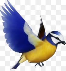 Explore and download free hd png images, and transparent images Burung Camar Siluet Gambar Png
