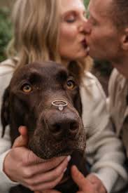 Anna Scoles's Instagram, Twitter & Facebook