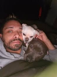 Respect for missing pets and owners