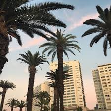 سماء زهراء أثناء غروب الشمس بمدينة الدار البيضاء في المغرب maro ciya المغرب الدار البيضاء السماء غروب الشمس instagram