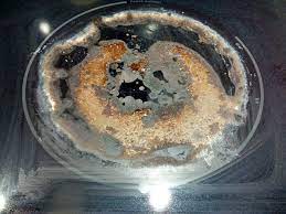 How To Clean Burnt Milk Off A Glass Cooktop Dishwasher Required