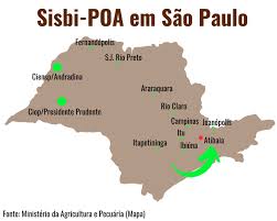 Mel de abelhas nativas de Atibaia poderá ser comercializado em todo o país  — Ministério da Agricultura e Pecuária