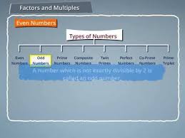 types of numbers even odd prime composite twin primes perfect co prime and prime triplets