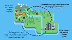 Check spelling or type a new query. Payment For Ecosystem Services Wikipedia