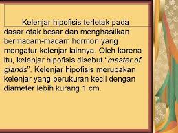 Kelenjar hipofisis sering disebut juga kelenjar pituitari sering disebut sebagai master of gland (kelenjar master). Kelenjar Hipofisis Kelenjar Pituitaria Kelenjar Hipofisis Terletak Pada