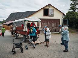 Mit unserem zusammenschluss über den landesverband württemberg in haus & grund deutschland sind wir insgesamt eine million. Ausfluge Lebenshilfe Im Kreis Rottweil Ggmbh