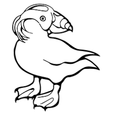 Jpg and png files high resolution images high quality 300 dpi images design will fit well 8x8 paper. Top 10 Puffin Coloring Pages For Toddlers
