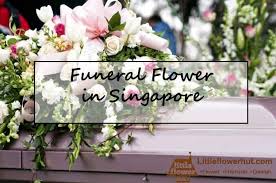 We did not find results for: The History Of Funeral Flowers Flower Delivery Singapore