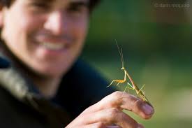 Darin McQuoid Photography