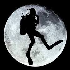 Cependant, il y a quelques mondes que les fans ne voudraient vraiment pas vivre. Dans Quel Monde Vivons Nous Home Facebook