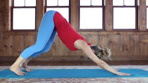Последние твиты от yoga sanga festival (@sayogafestival). 7 Things To Know About Katonah Yoga Yoga Journal