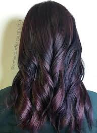 Purplish mahogany highlights can make your dark hair look truly stunning. 40 Hair Color Ideas That Are Perfectly On Point Brunette Hair Color Plum Hair Hair Color Options