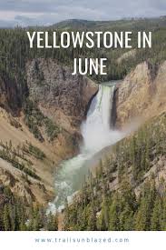 Yellowstone In June National Parks America Visit Yellowstone National Parks