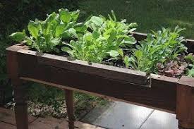 How To Make A Lettuce Table From Cast Off Furniture In 2020 Diy Backyard Diy Planters Easy Garden