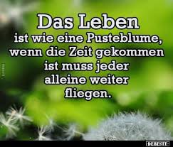 Das Leben Ist Wie Eine Pusteblume Wenn Die Zeit Gekommen Lustige Bilder Spruche Witze Echt Lustig