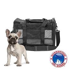 French bulldog backpacks will definitely thrill your pooch. 10 Essential French Bulldog Accessories For Your Favorite Companion
