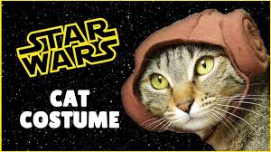 Diy Star Wars Princess Leia Cat Costume Diy Princess Leia Costume Di Cat Costume Diy Diy Pet Costumes Princess Leia Costume Diy