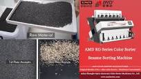 AMD Sortex(RG6) Sesame Seeds Color Sorter Machine Price for Black Sesamum  Sorting