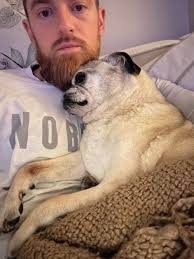 Here is my Otis. We got him when he was about 2 years old. So that should  make him 15 now. He has lost his hearing and has congestive heart failure.  We