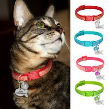 These cat id tags attach flat to your cat's or kitten's collar so each tag is personalized with your cat's information and comes ready to easily attach to your cat's collar. Bling Breakaway Cat Collar With Personalized Id Tag Adjustable Kitten Collars Ebay