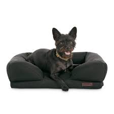 Now on sale at l.l.bean: Reddy Indoor Outdoor Black Dog Bed 24 L X 18 W Petco