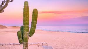 Arte en todos los rincones de este pintoresco pueblo. Gay Cabo San Lucas 2021 Travel Guide Hotels Bars Events