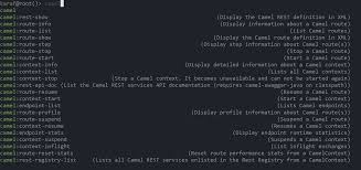 Basic apache camel and spring tutorial. Execution Of Osgi Shell Commands On Cpi Runtime Node Sap Blogs